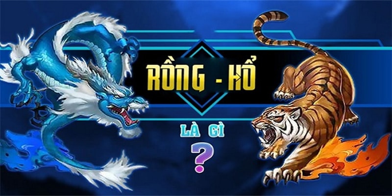 Giới thiệu về Rồng hổ